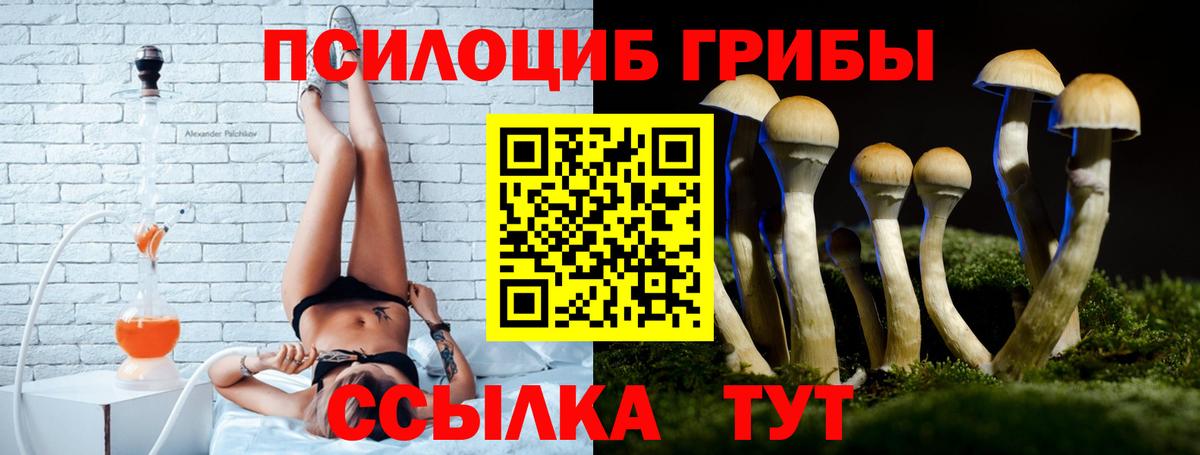 Отрадное  Галлюциногенные грибы Magic Shrooms  Вход с VPN 